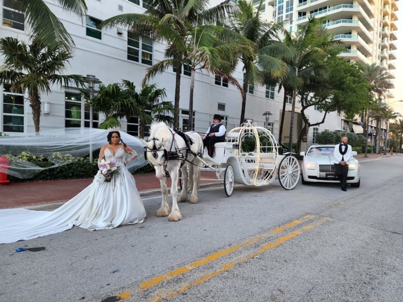 Rolls Royce Ghost with Horse and Carriage